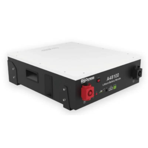 Dyness 4.8 Kwh 100AH Battery