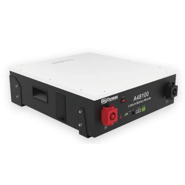 Dyness 4.8 Kwh 100AH Battery
